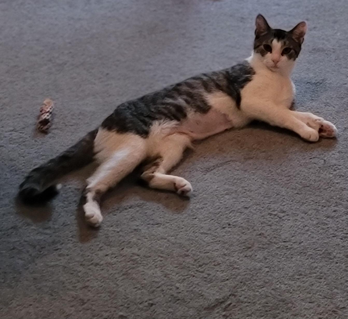 Mia