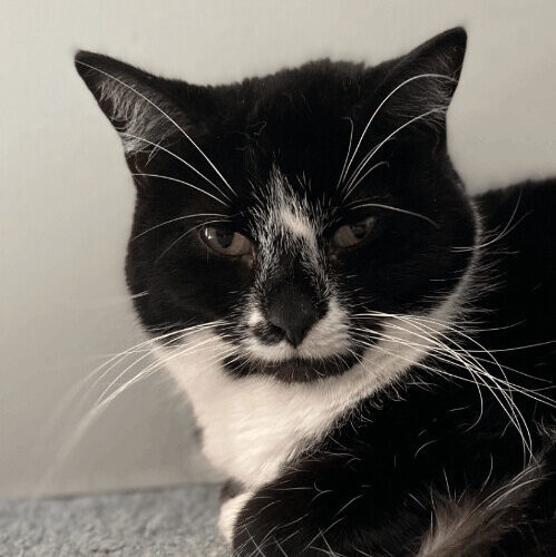 Sapphire — thumbnail 2