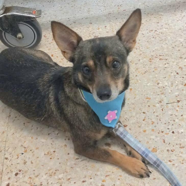 Nina Sunshine "a Doll!" thumbnail 2