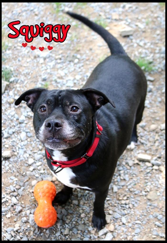 Squiggy