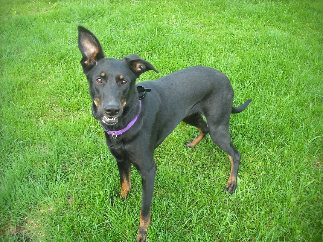 Thea ("The Amazing!") photo 1