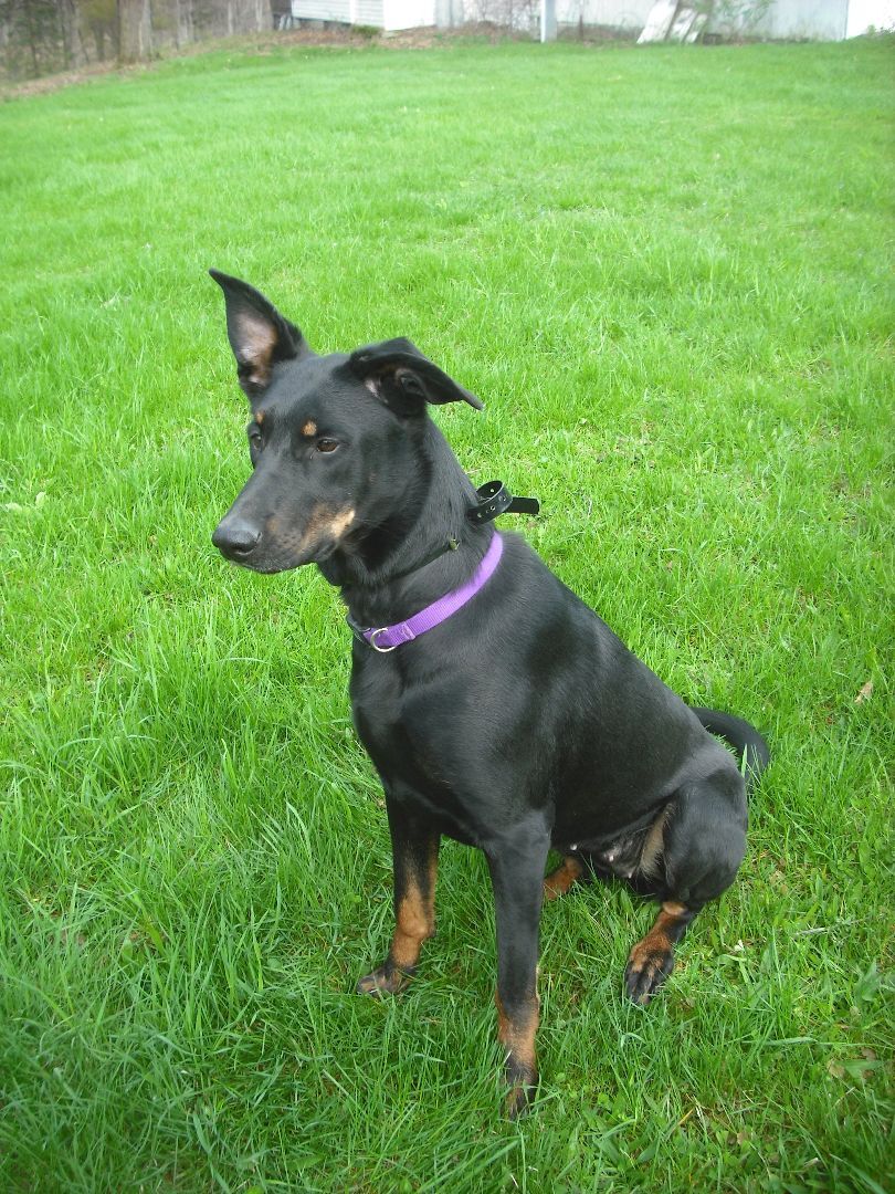 Thea ("The Amazing!") photo 2