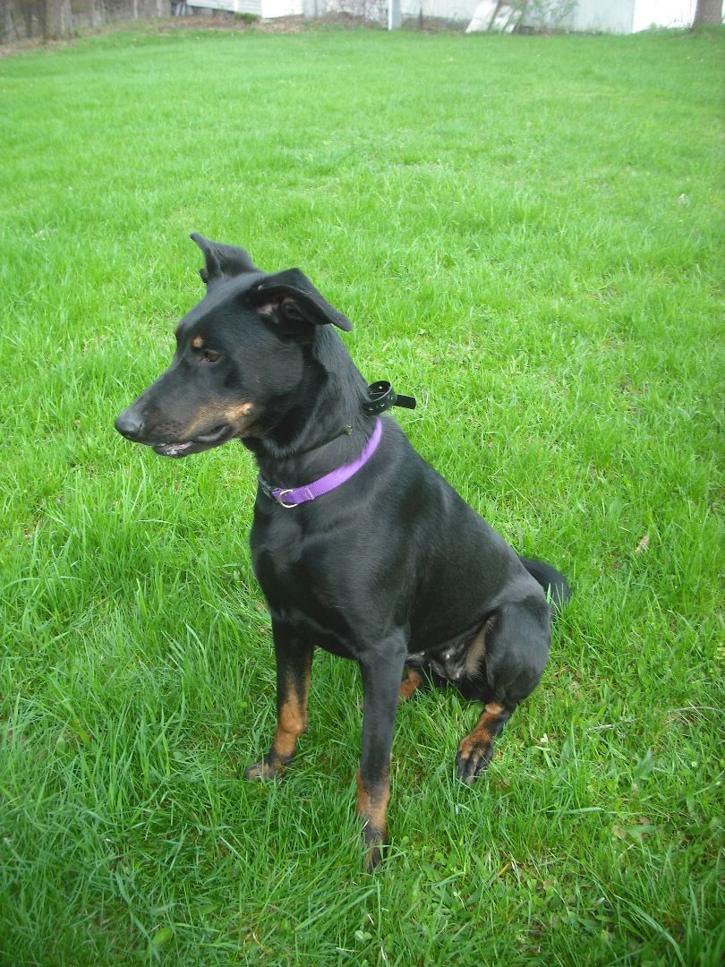 Thea ("The Amazing!") photo 3