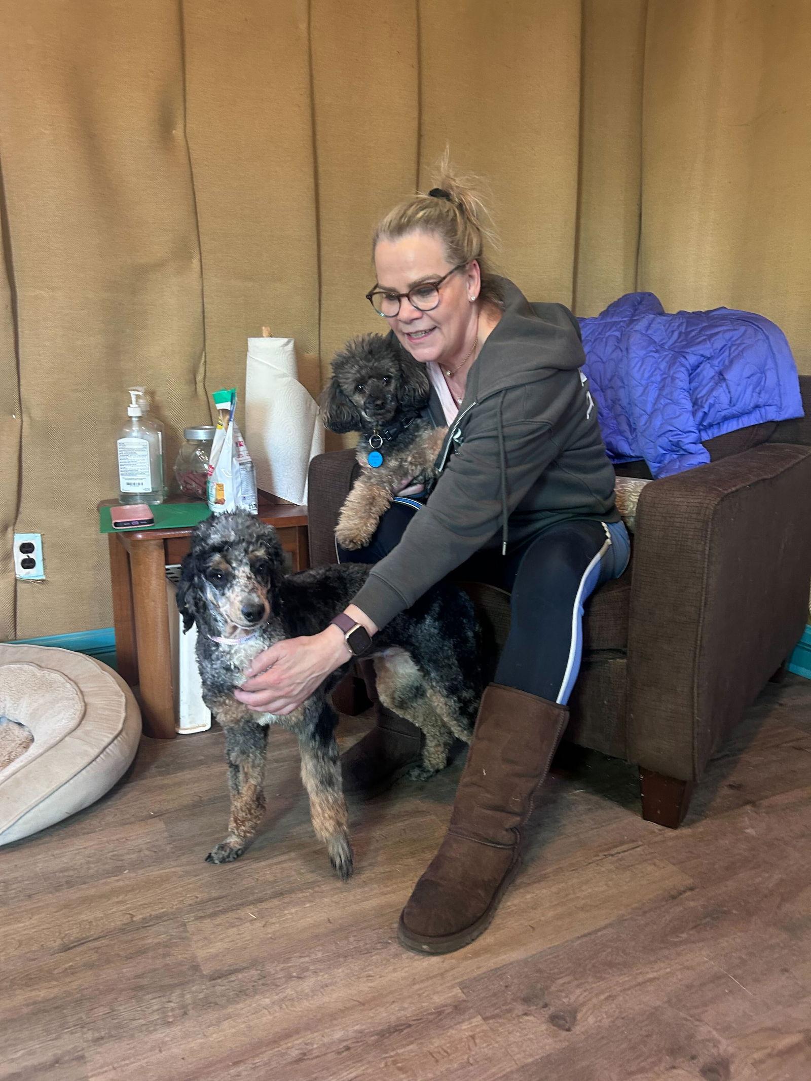 Sparrow Feb 26, Adopted, Adult Female Poodle.