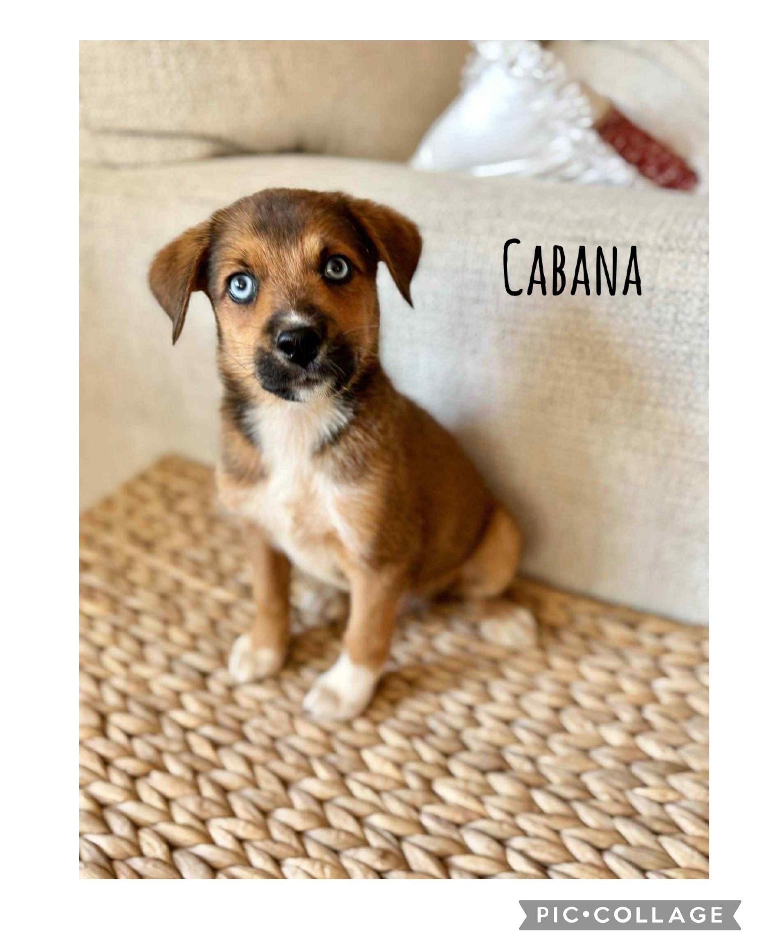 Cabana