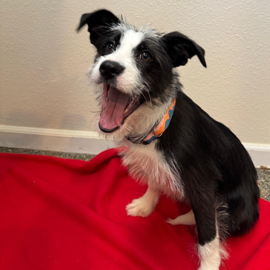 Stormi — thumbnail 3