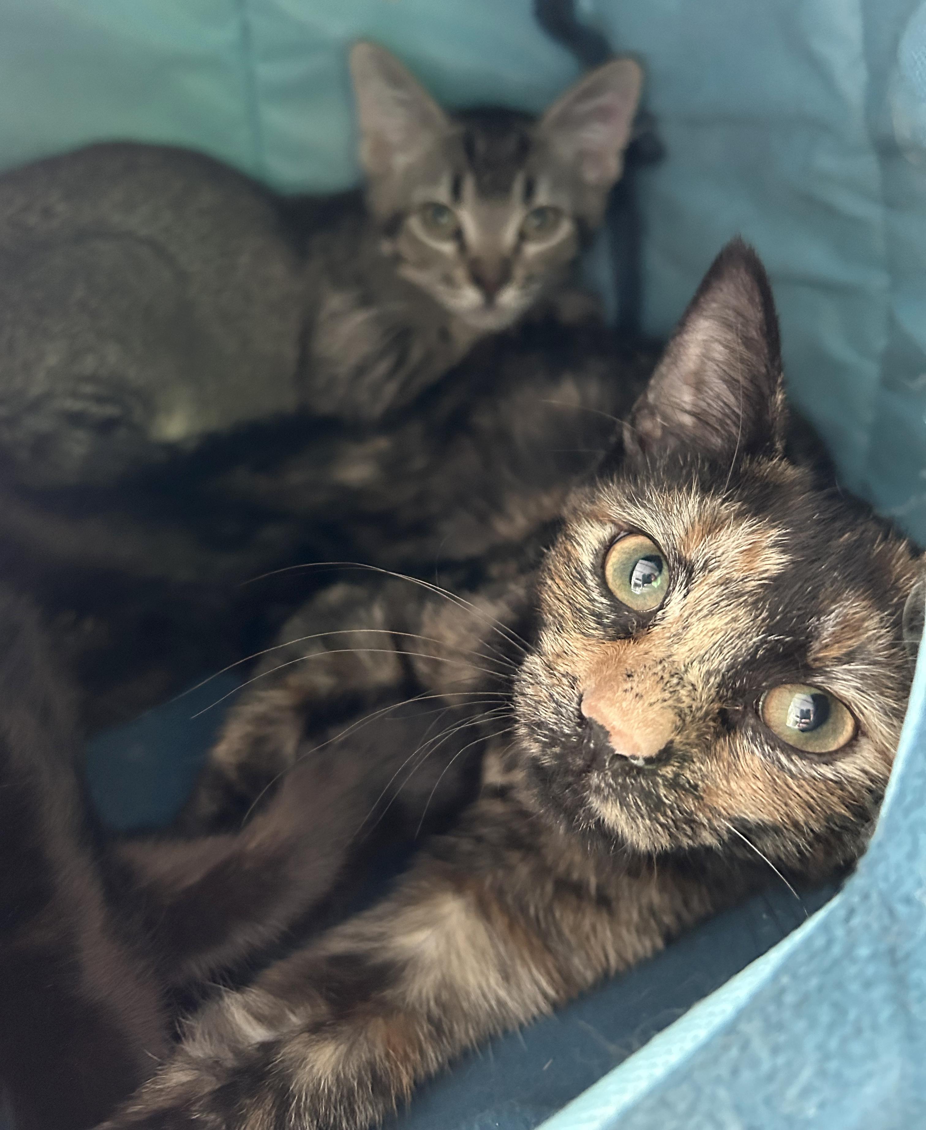 Kaida & Suki
