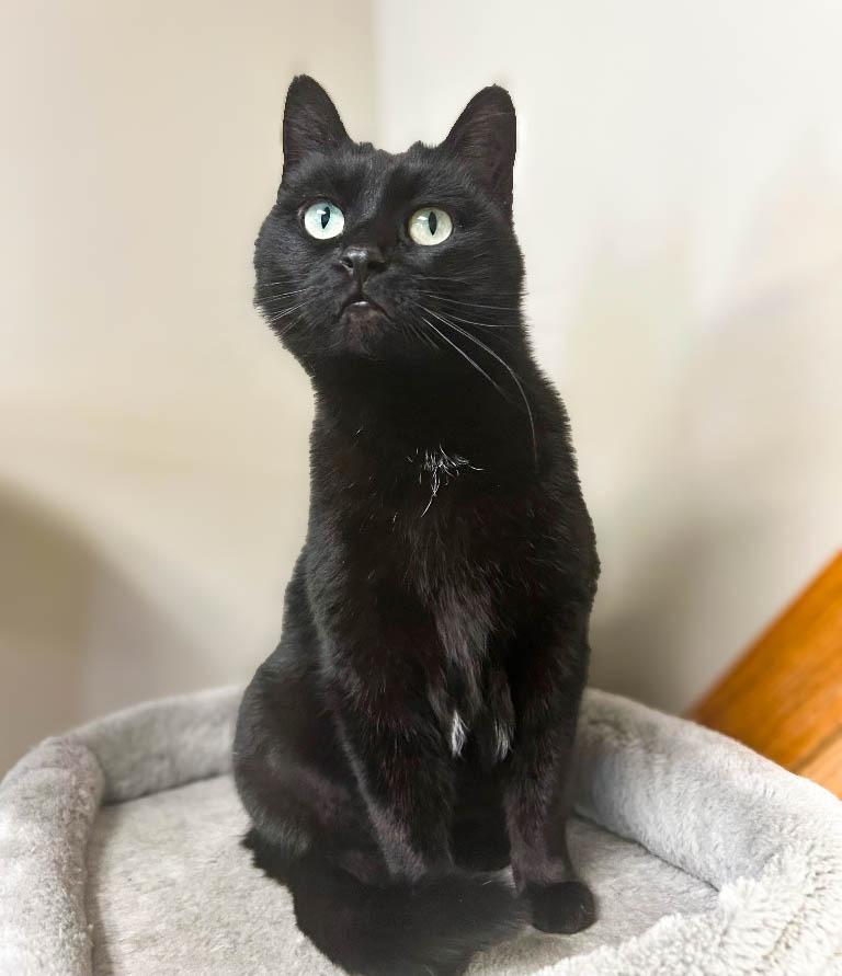 Jemma — thumbnail 2