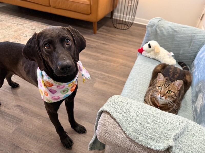 Toby Keith — thumbnail 2