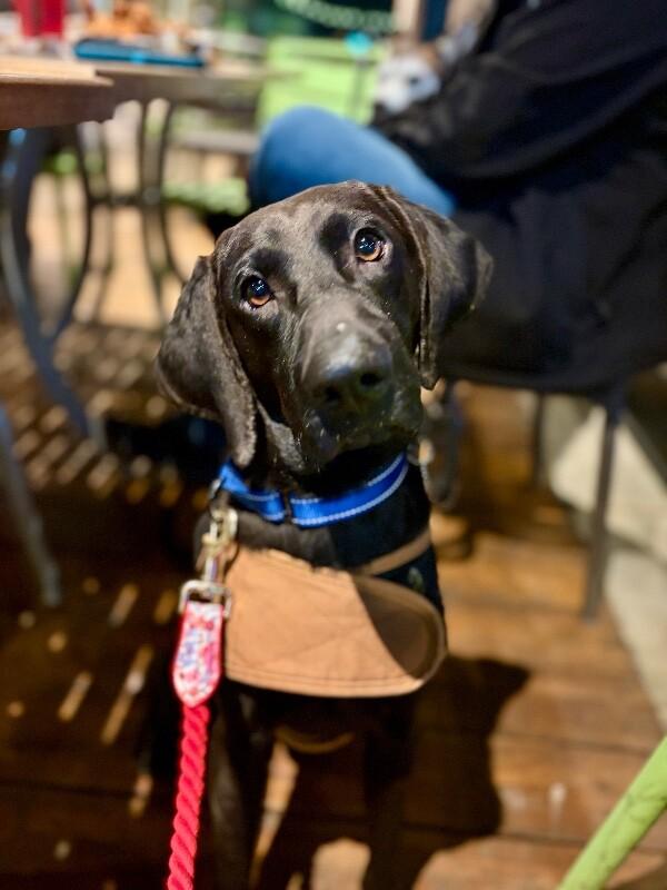 Toby Keith — thumbnail 3