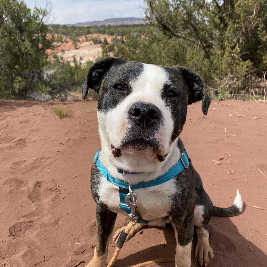 Hattie — thumbnail 2