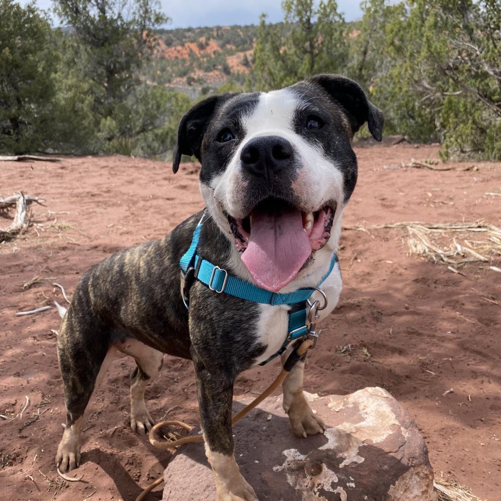 Hattie — thumbnail 4