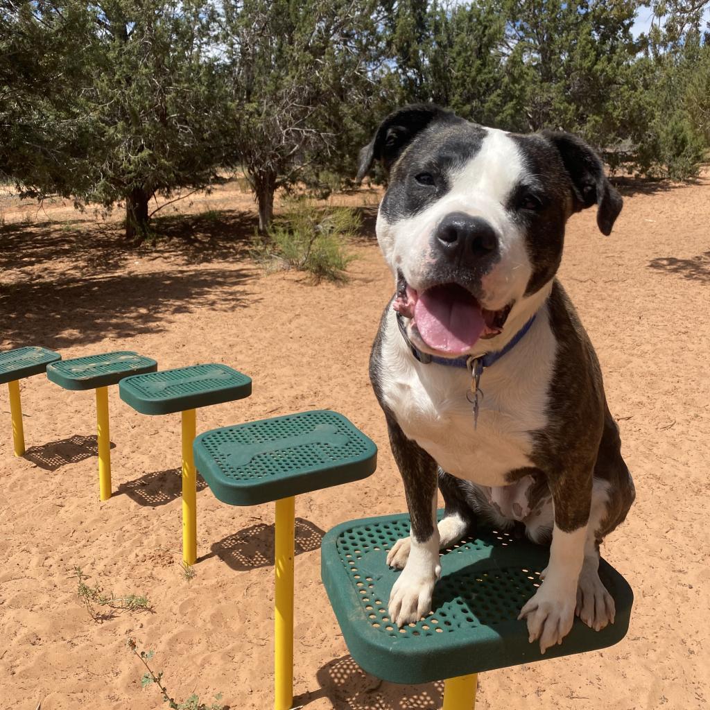 Hattie — thumbnail 5