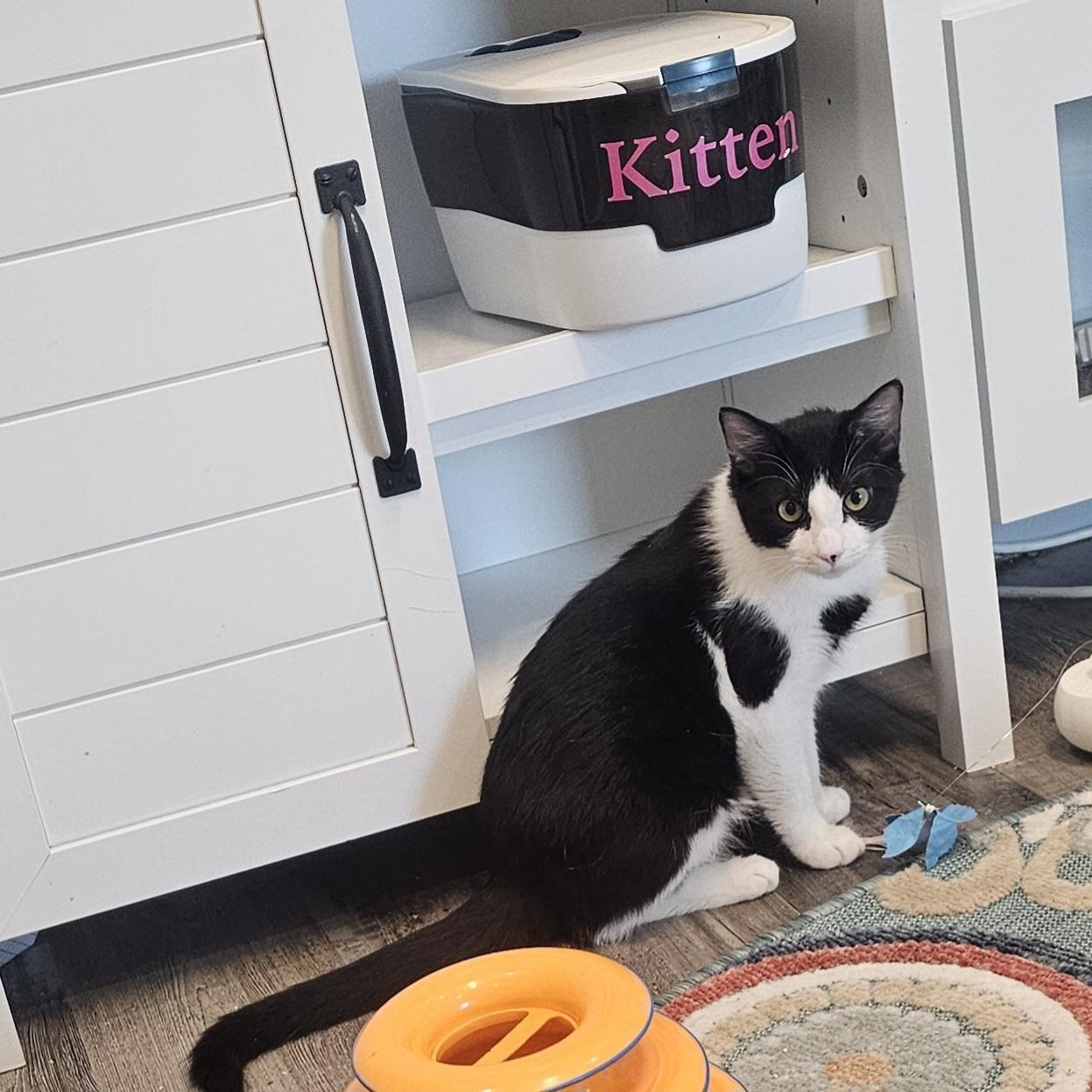 Stitch Pelekai — thumbnail 5