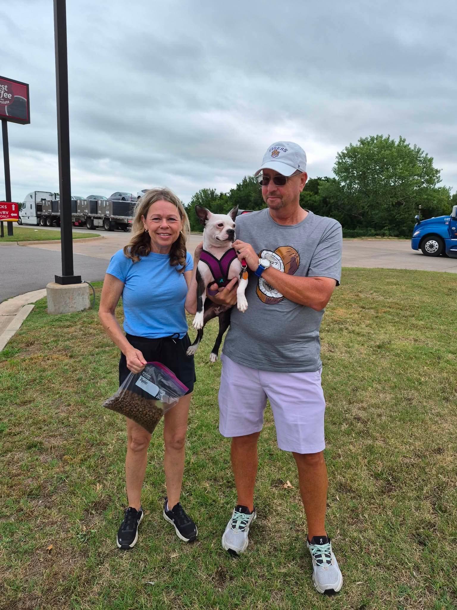 Enlarge Baker, a Adopted Boston Terrier in Muskogee, OK image 2/2