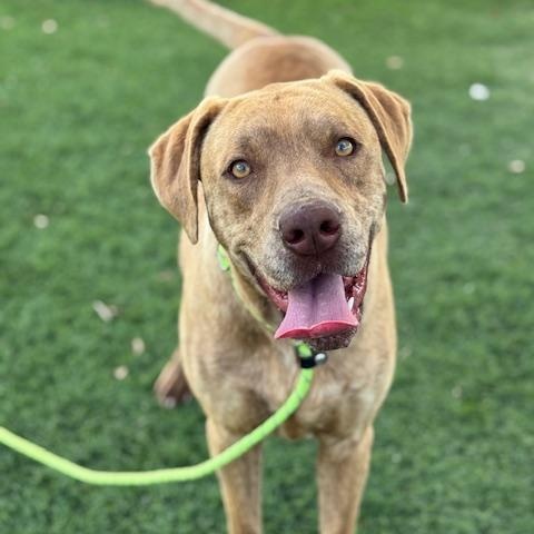 Lilly — thumbnail 3