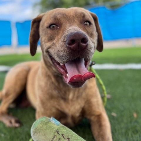 Lilly — thumbnail 4