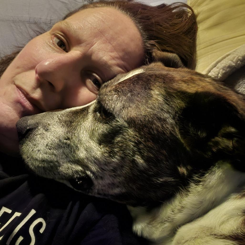 Dolly (Betty White), Adoptable, Senior Female Mixed Breed.