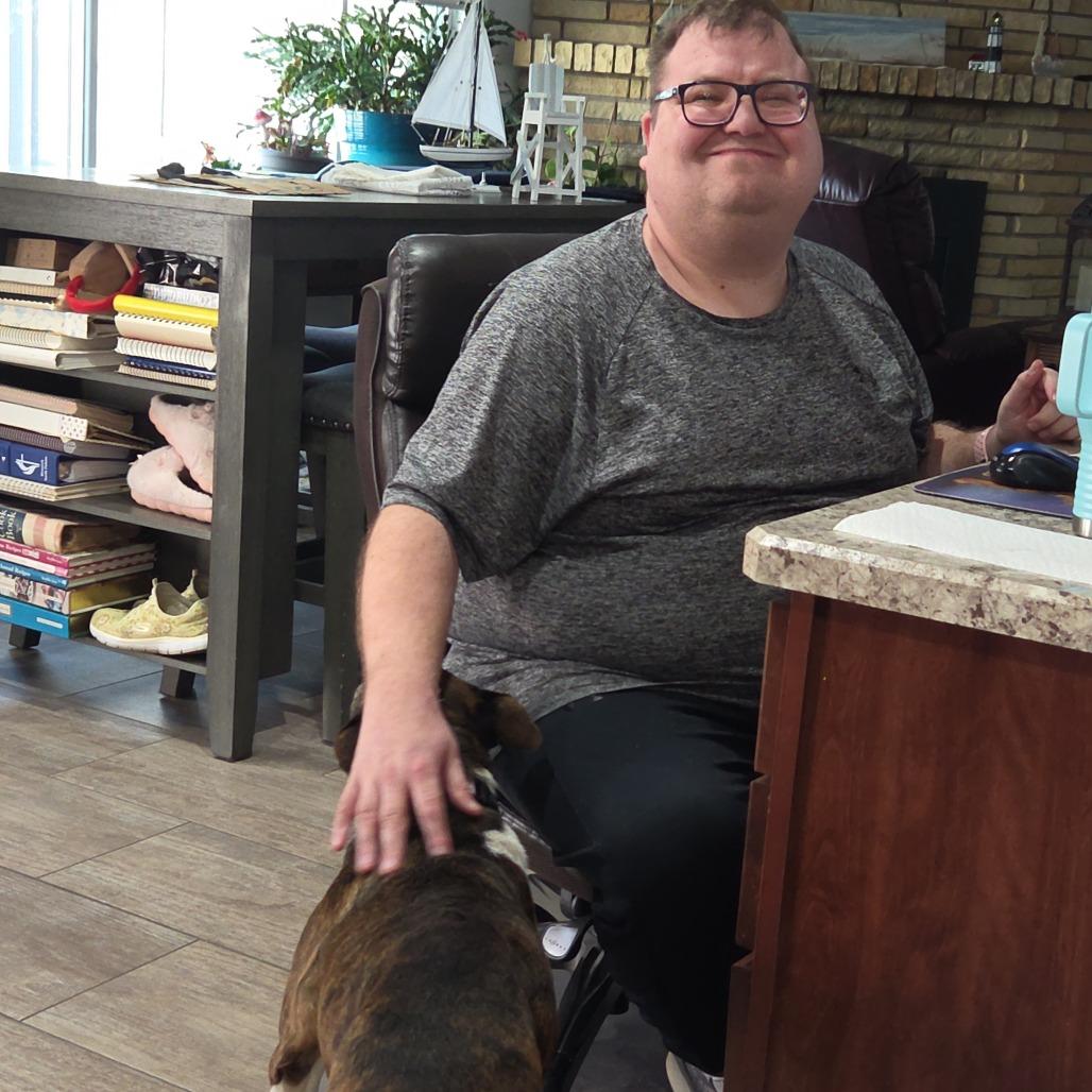 Enlarge Dolly (Betty White), a Adoptable Mixed Breed in Bismarck, ND image 3/6