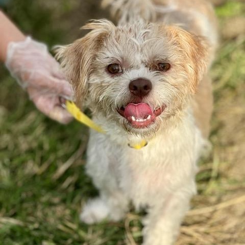 Frankie aka Beetlejuice