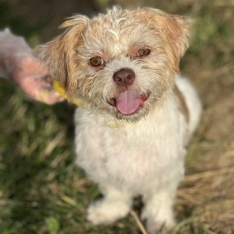 Frankie aka Beetlejuice