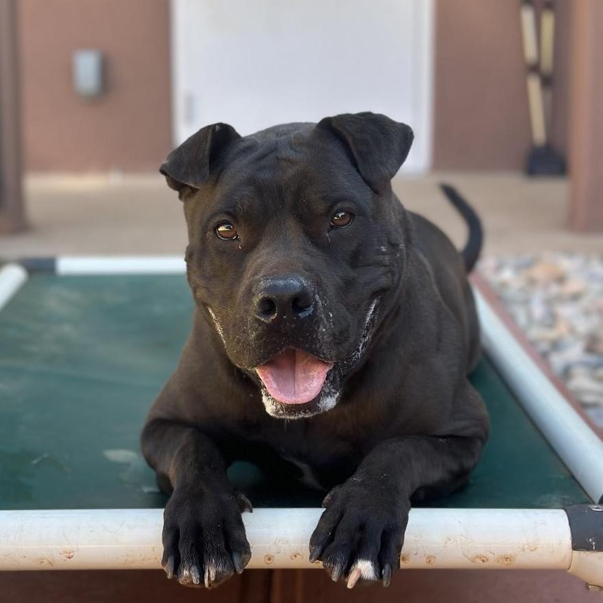 Myrtle — thumbnail 5