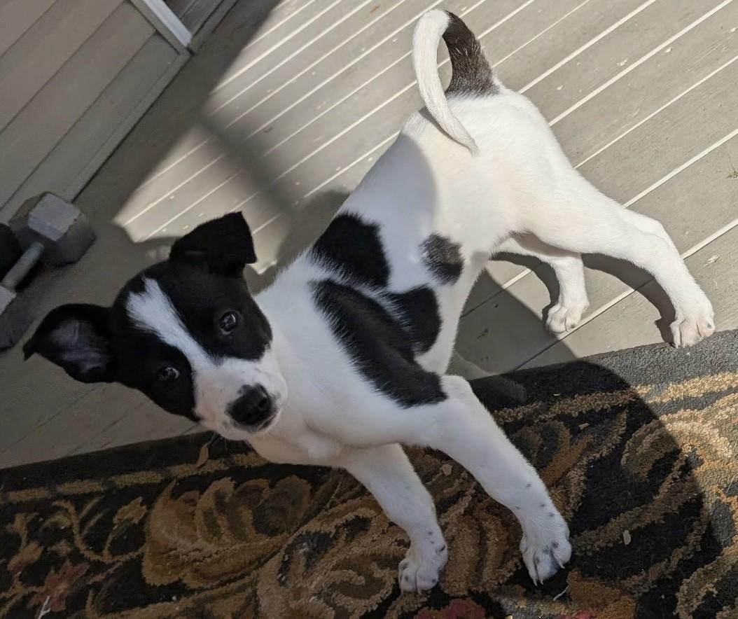 STORMY — thumbnail 2