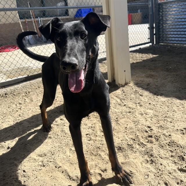 GAMORA — thumbnail 2