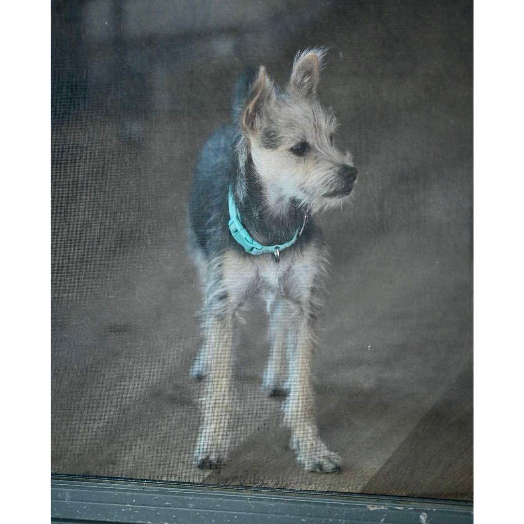 ARES photo 5