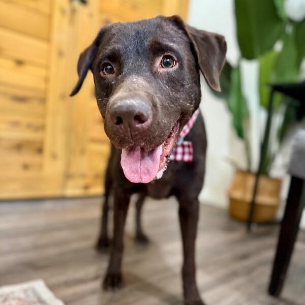 Finn is the sweet spot