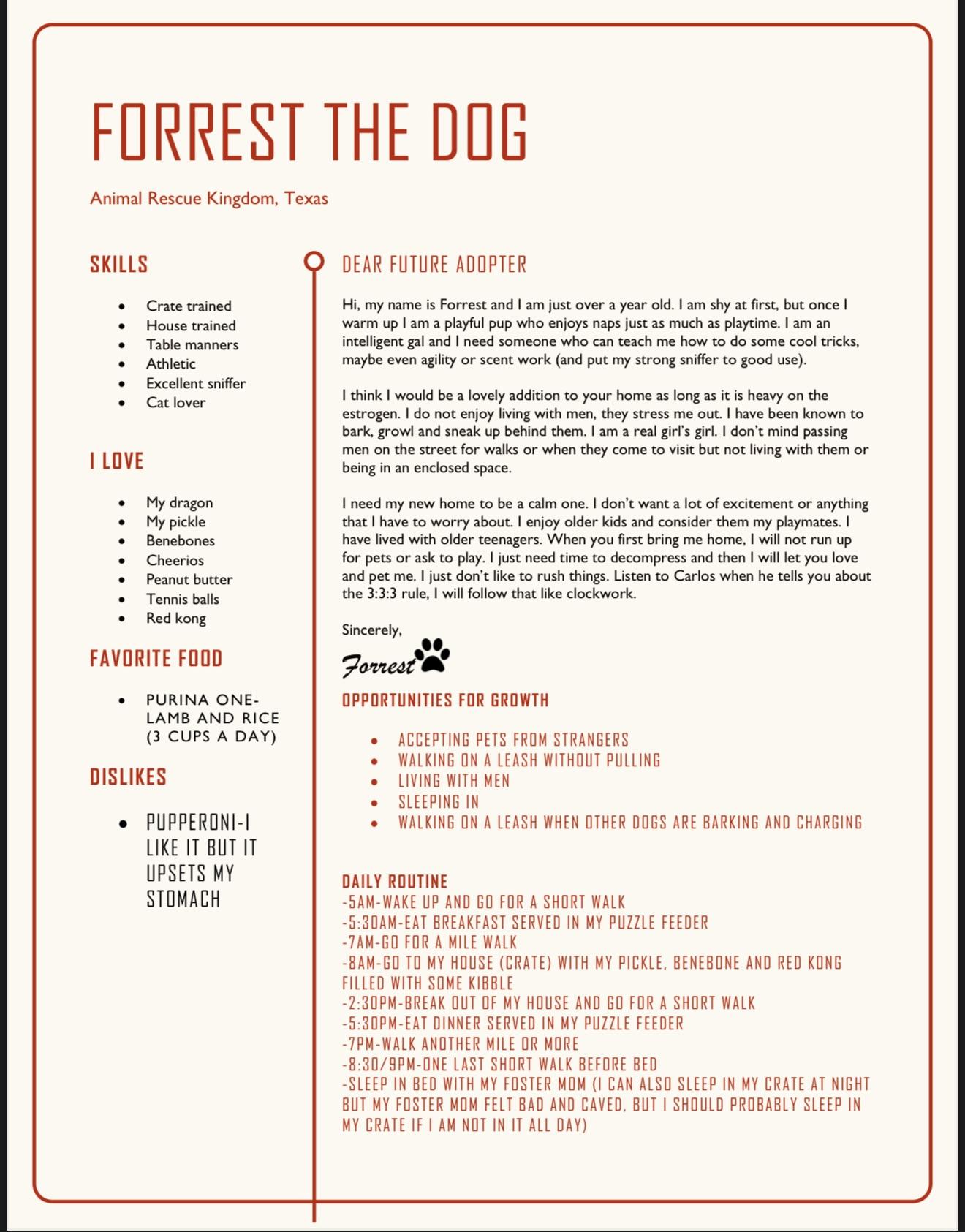 Forrest - Local Dec 19-21, a Adoptable mixed breed in Gresham, OR image 2/6