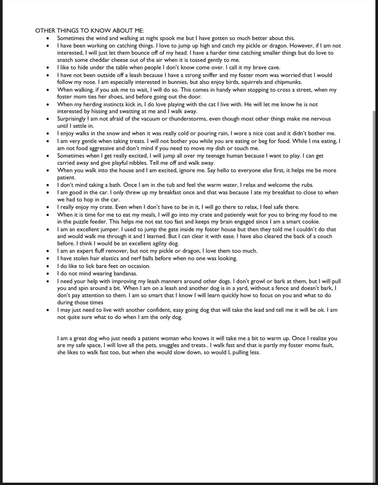 Forrest - Local Dec 19-21, a Adoptable mixed breed in Gresham, OR image 4/6