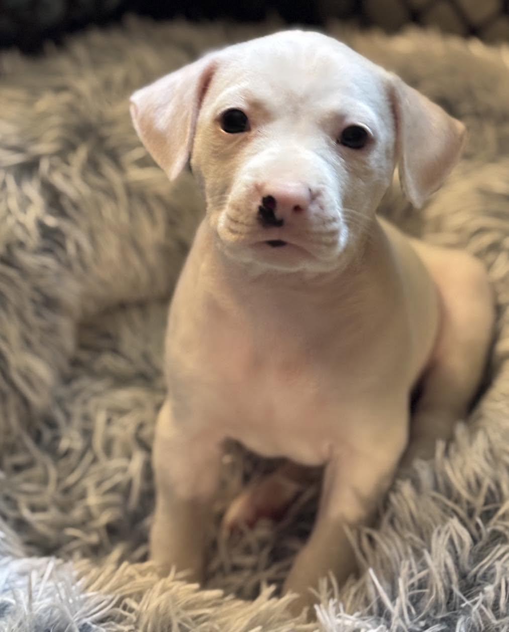 Photo of Rosita