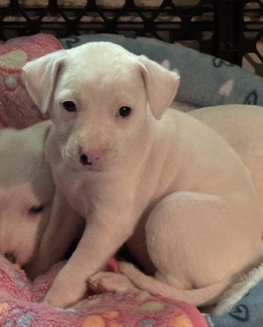 Photo of Rosita