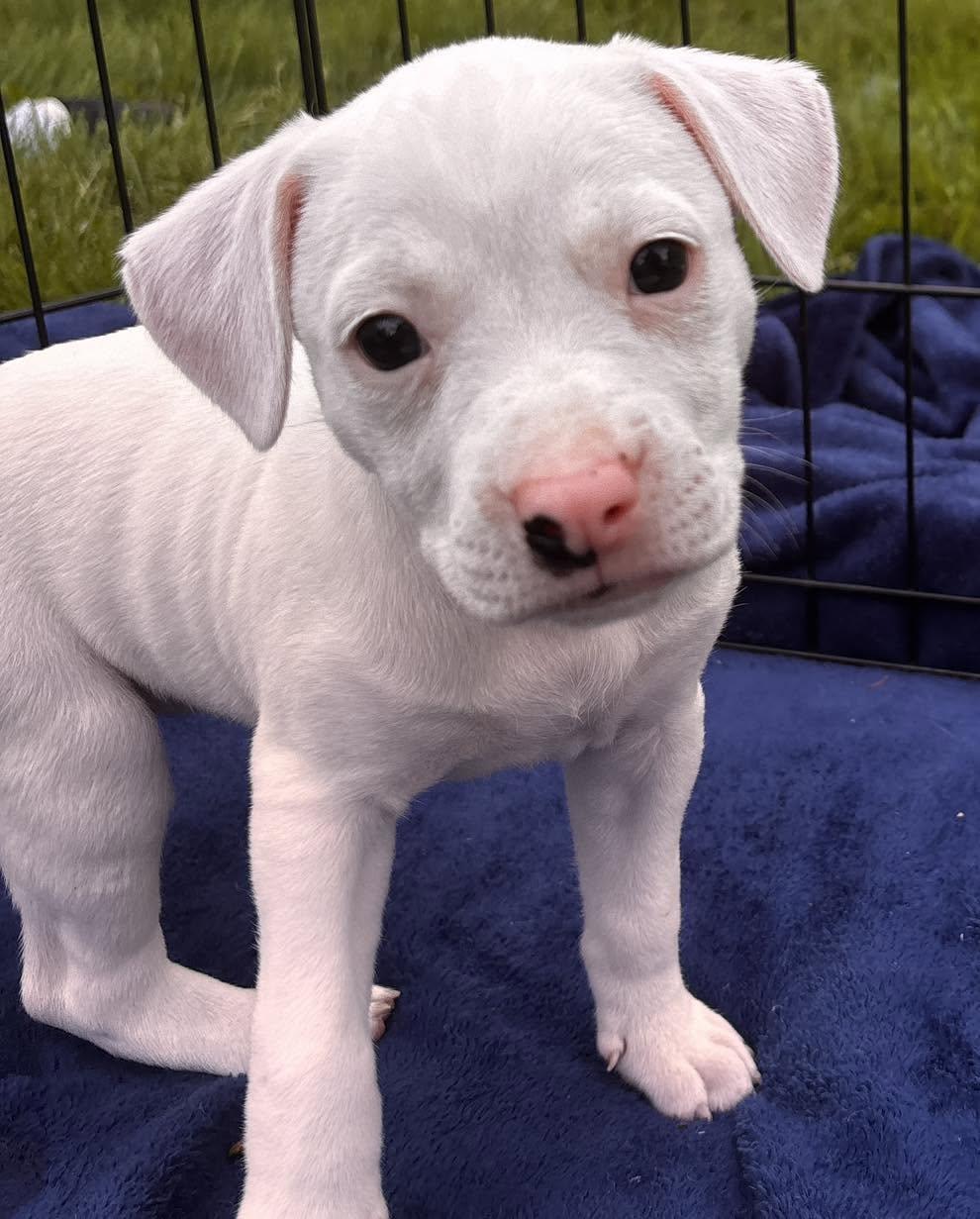 Photo of Rosita