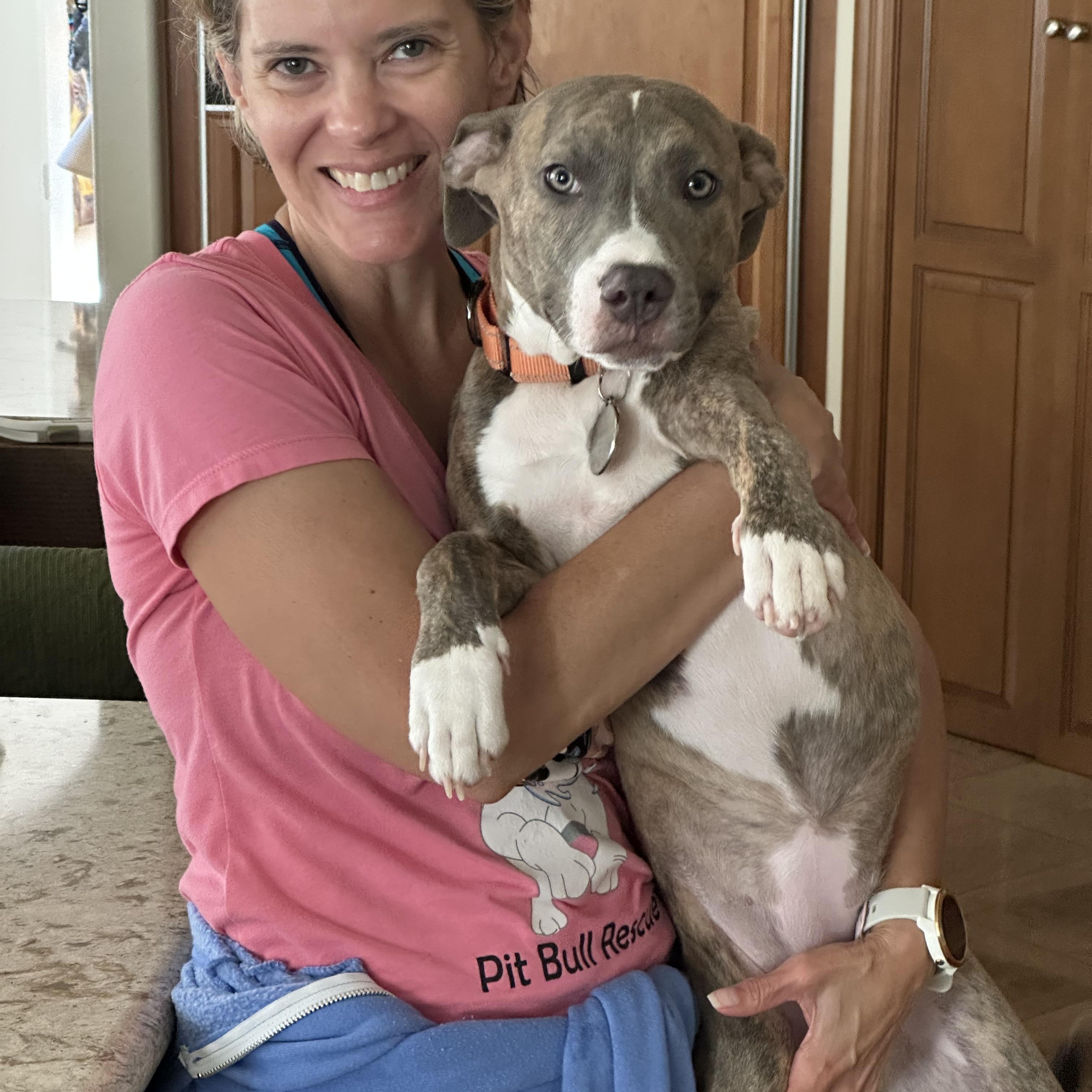 Enlarge Pepper, a Adoptable Pit Bull Terrier in Simi Valley, CA image 3/5