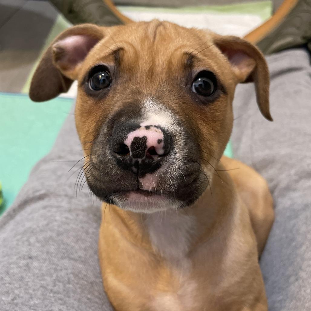 Roger — thumbnail 2