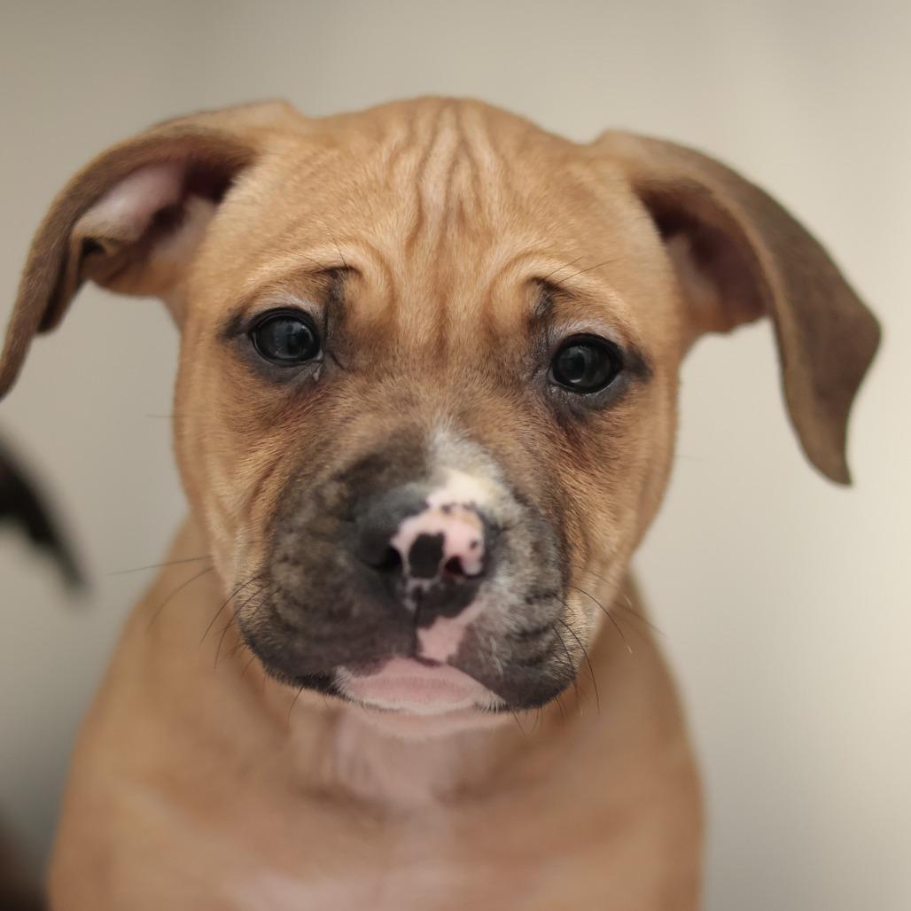 Roger — thumbnail 3