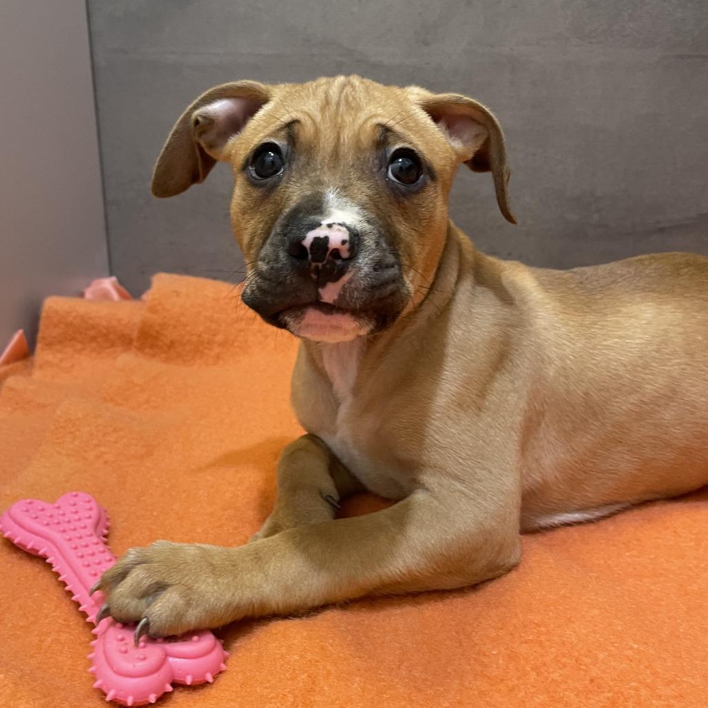 Roger — thumbnail 4