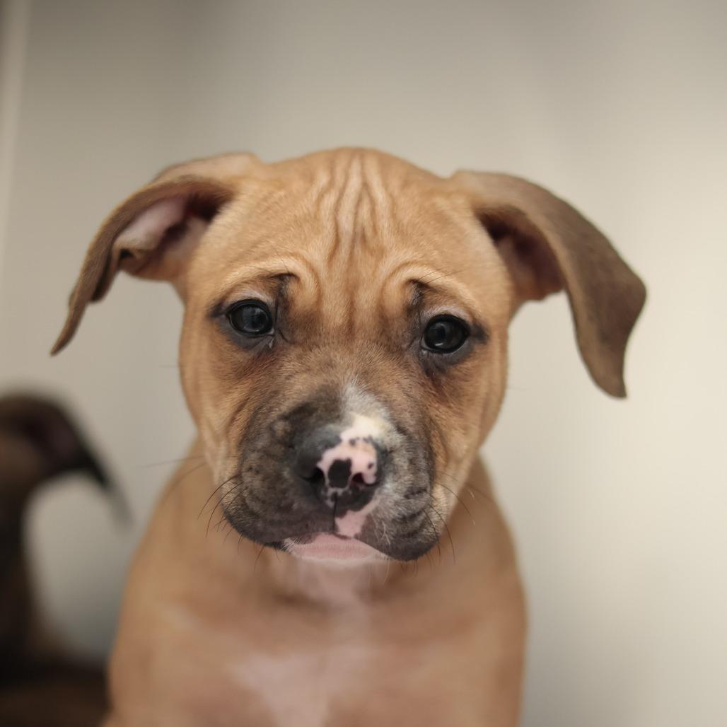 Roger — thumbnail 6