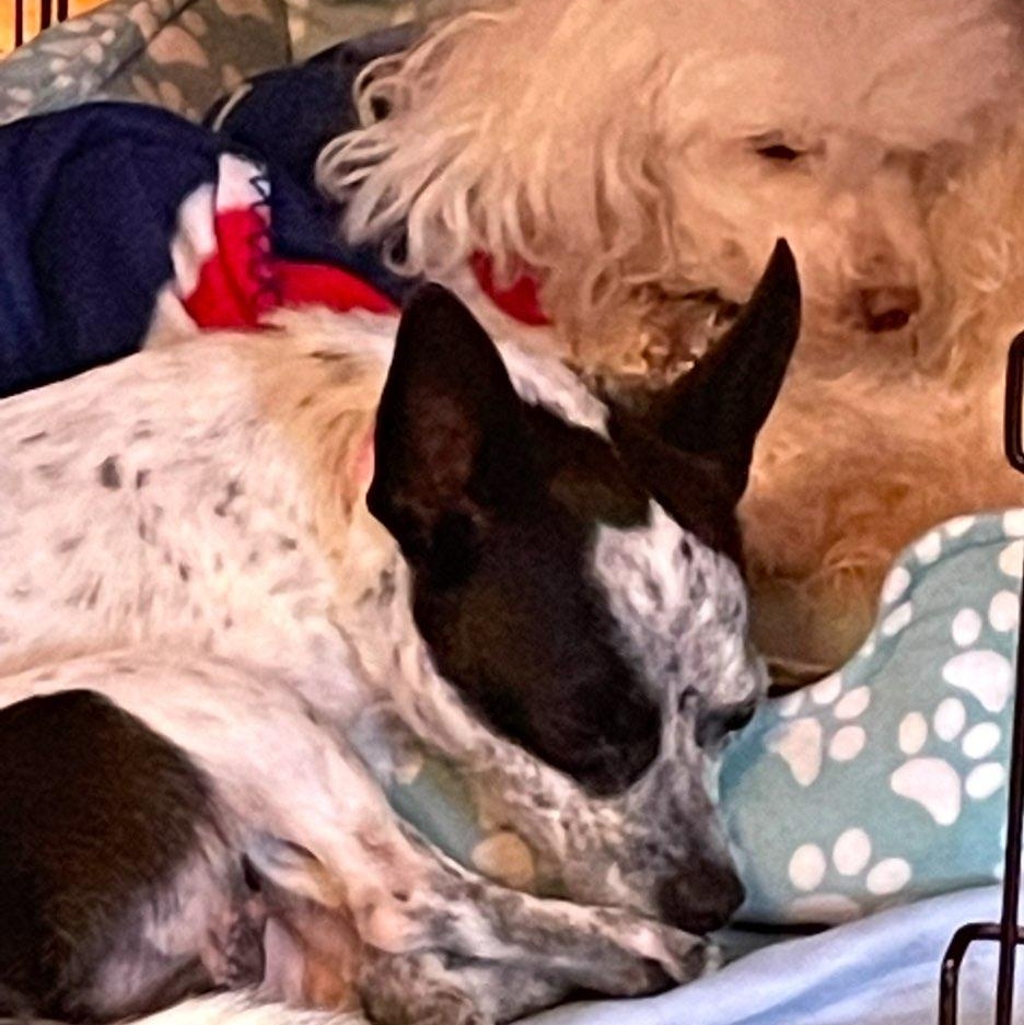 Fred - Good Hearted Boy 3