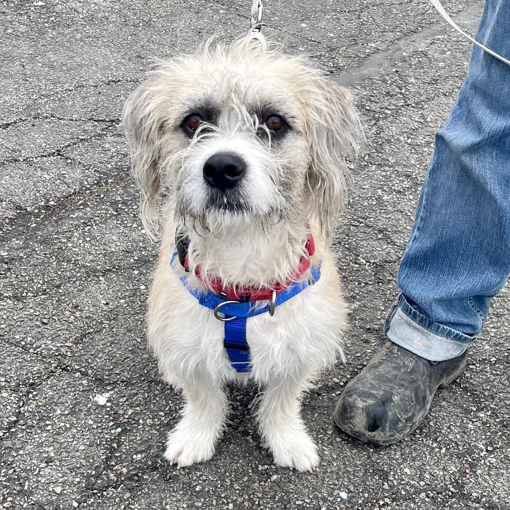 Geneva — thumbnail 3