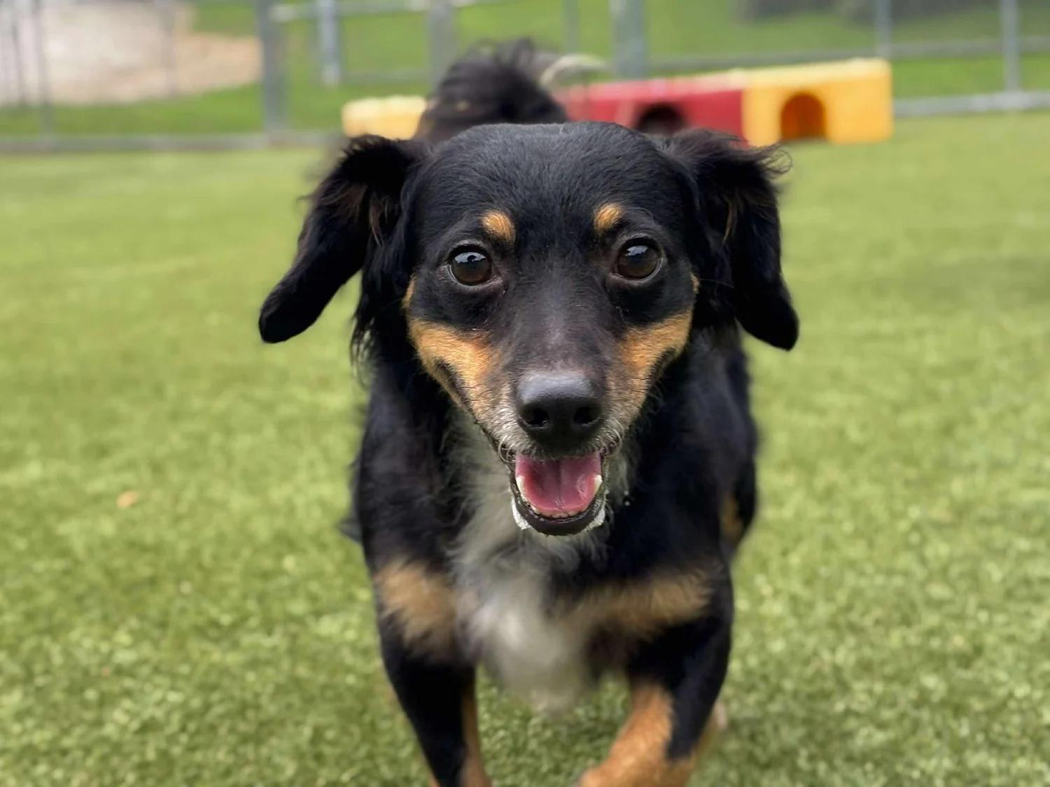 Gilligan thumbnail 2