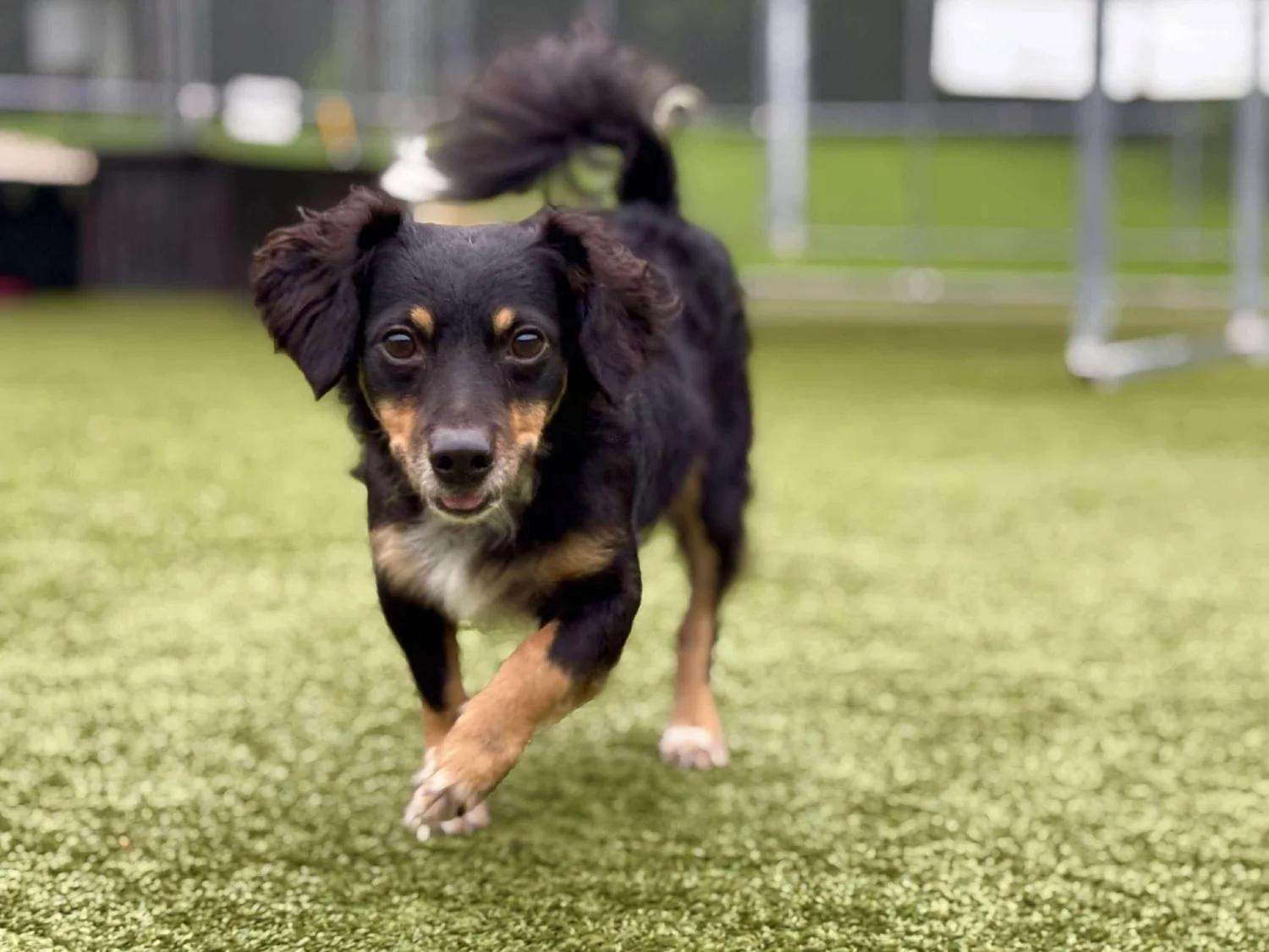 Gilligan thumbnail 3