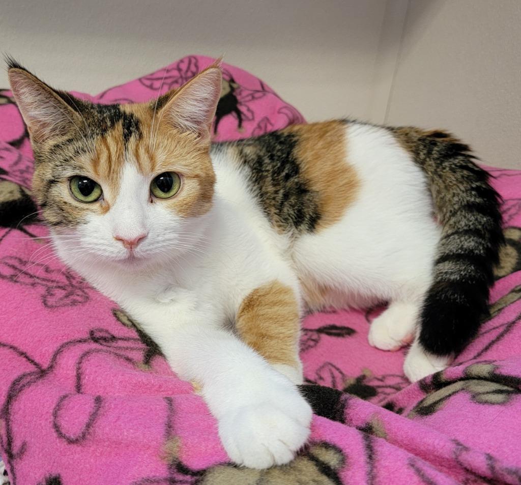 Marie — thumbnail 4