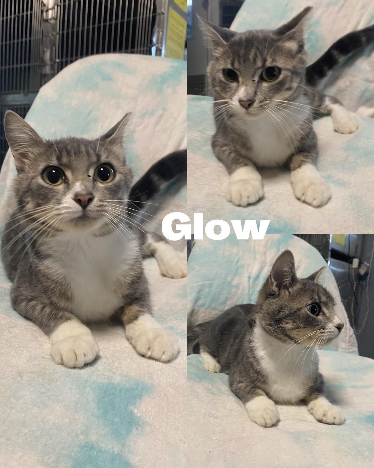 Glow