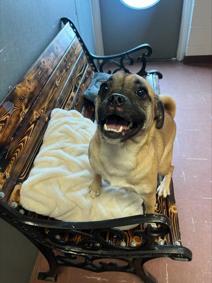 Eleanor — thumbnail 2