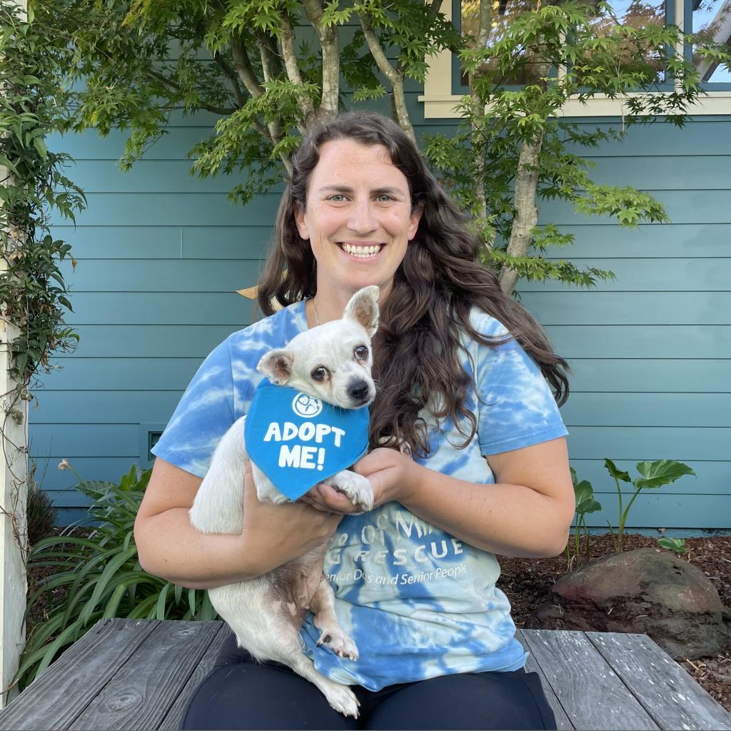 Dutchess, a Adoptable mixed breed in Pacific Grove, CA image 3/6