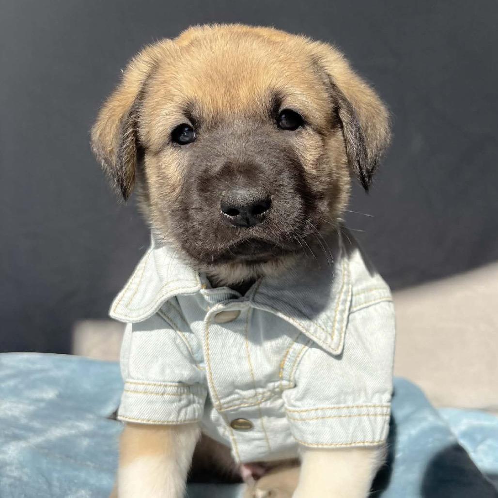 Finnan — thumbnail 3