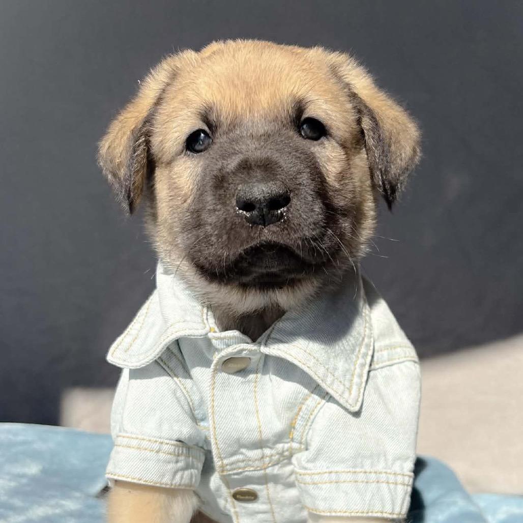 Finnan — thumbnail 4